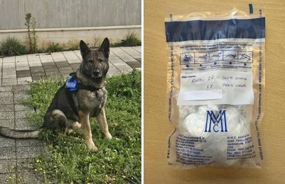FOTO Zaustavili ih kod Vodica, policijski pas pronašao kokain na zadnjem sjedištu. Uhitili ih