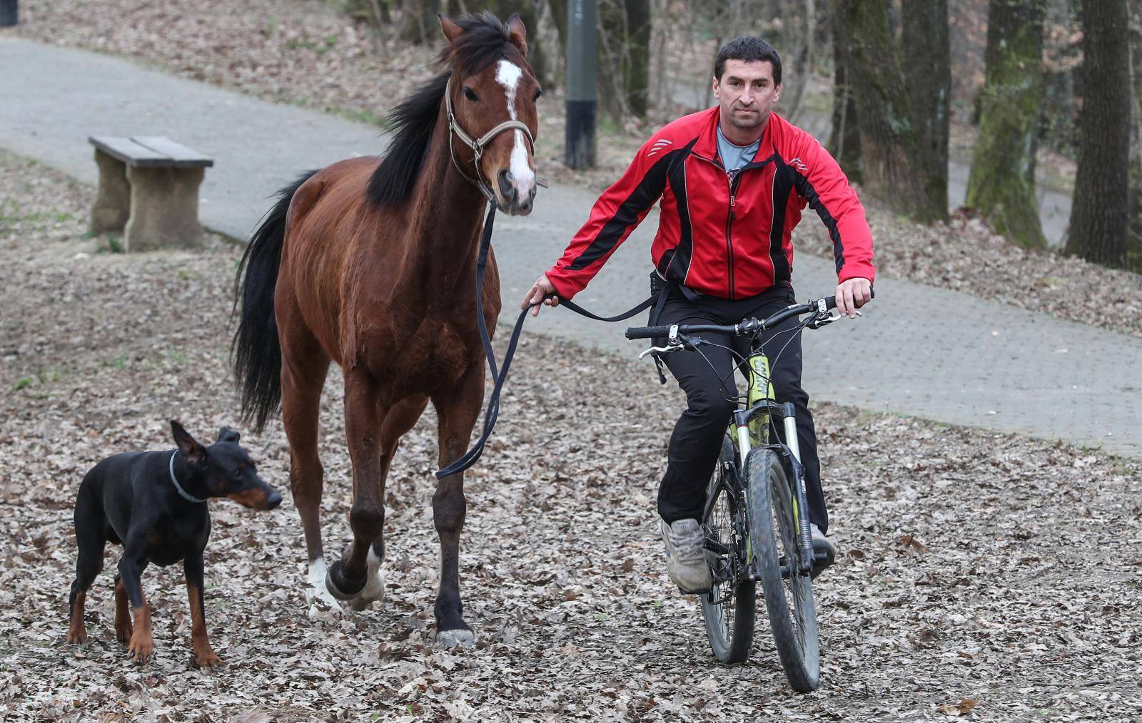 'Moj konj Kasper i ja jurimo šumama čak do 60 km na sat'