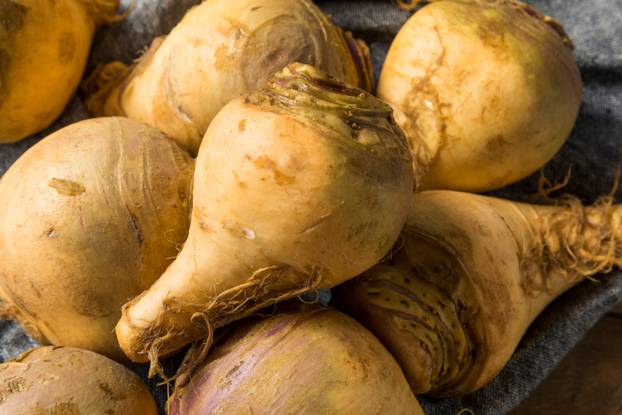 Raw Organic Brown Rutabaga Root