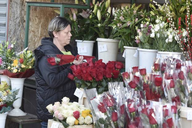 Šibenik: Kupovina cvijeća povodom Međunarodnog dana Žena