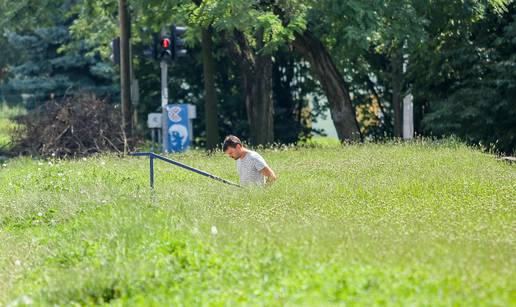 Svugdje isti prizor: Gradske su površine zarasle u visoku travu