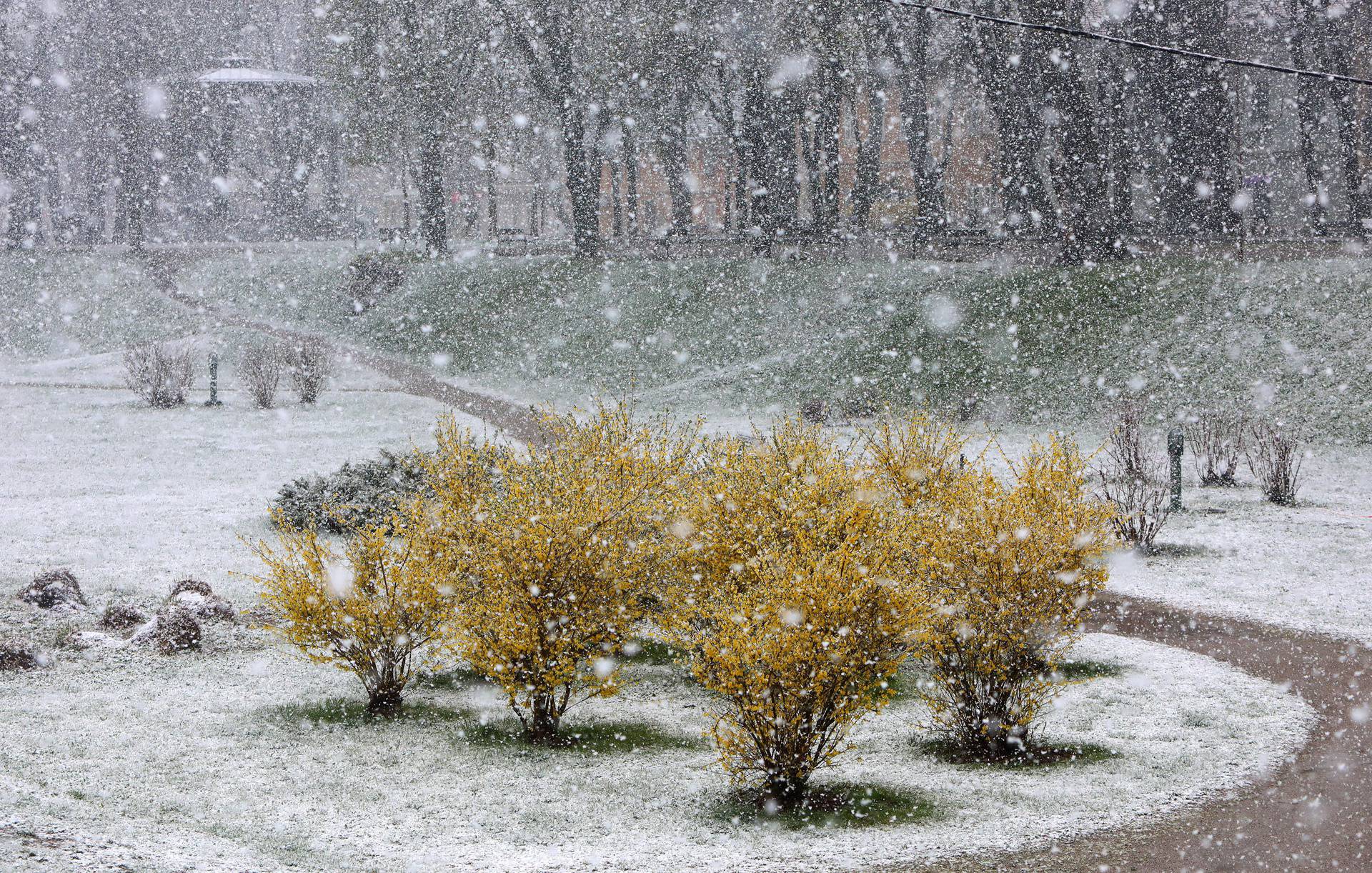 Karlovac: U jutarnjim satima počeo padati gusti snijeg