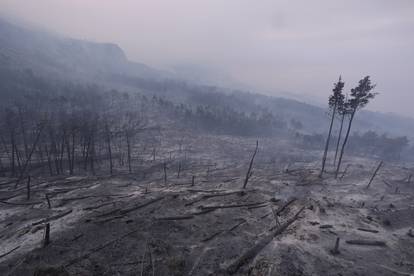 GALERIJA Opustošena Podgora: Umorni vatrogasci borili su se cijelu noć, vatra gutala čamce...