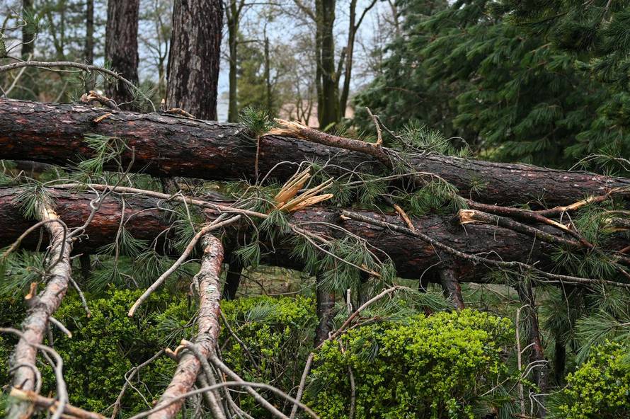Zagreb: U nevremenu teško oštećeno gradsko groblje Mirogoj
