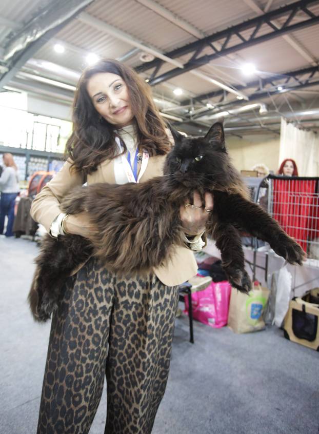 Rijeka: Međunarodna izložba mačaka