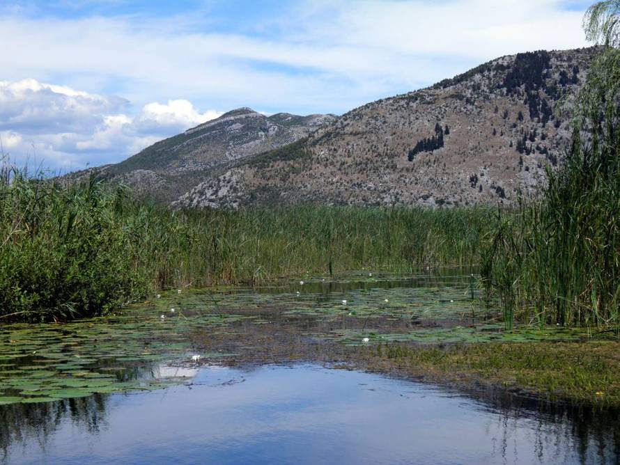 Metković – mjesto susreta brda i doline, rijeke i mora za odmor iz snova