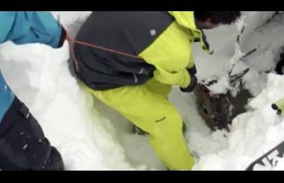 Skijaši spasili jelena koji je cijeli propao u snijeg