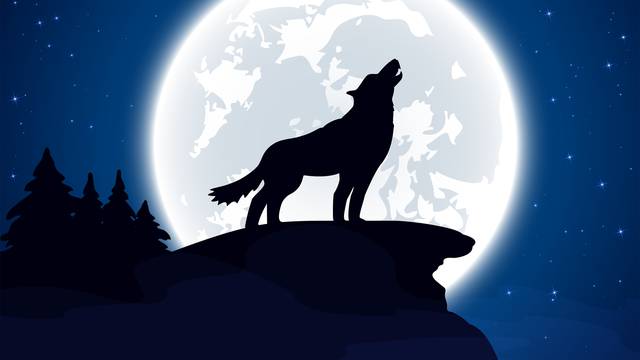 Horoskop starih Indijanaca: Rođeni u znaku guske su jaki, a vukovi odlični ljubavnici