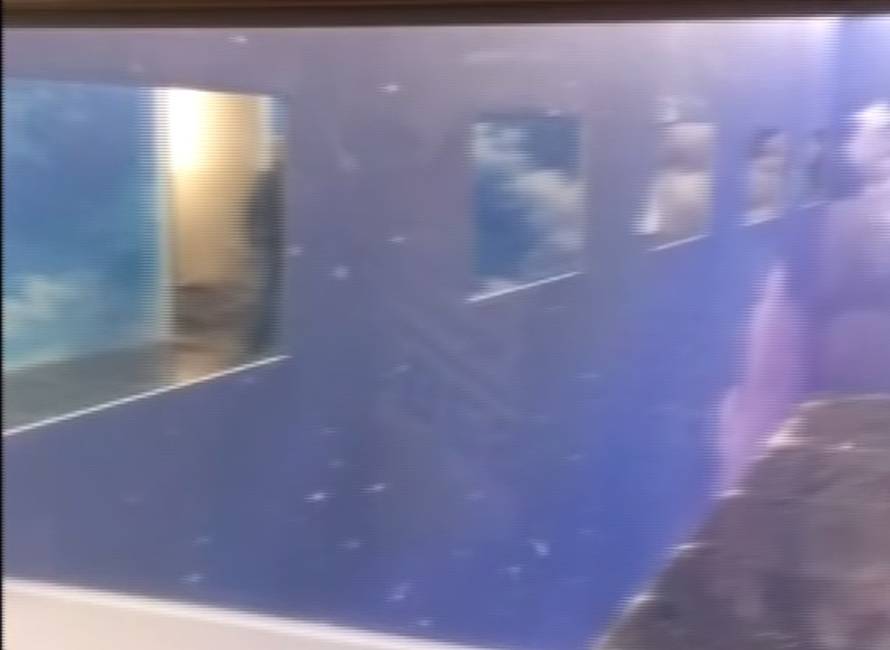 Kroz oči provalnika: Zavirite u zagrebačku Big Brother kuću