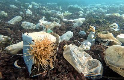 Na morskom dnu skupilo se već 14 milijuna tona mikroplastike