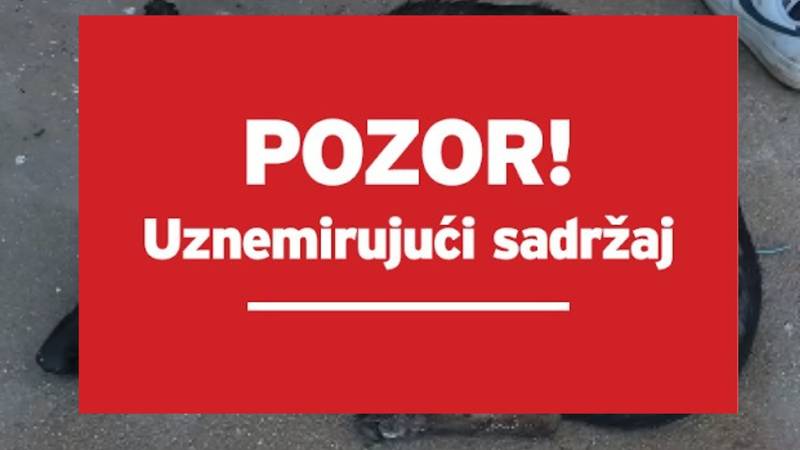 Mladi vatrogasac mučio pse, priveden je. Njegov zapovjednik poručuje: Ne dirajte mu obitelj