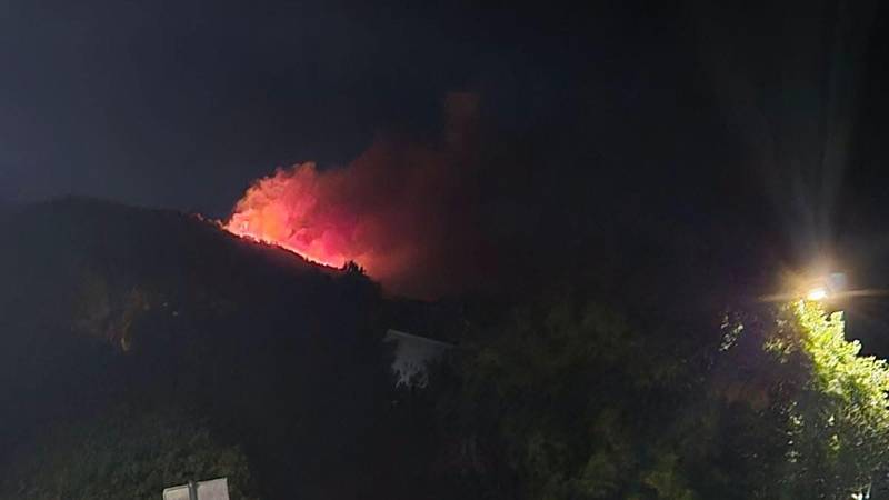 FOTO Gori šuma kod Dubrovnika