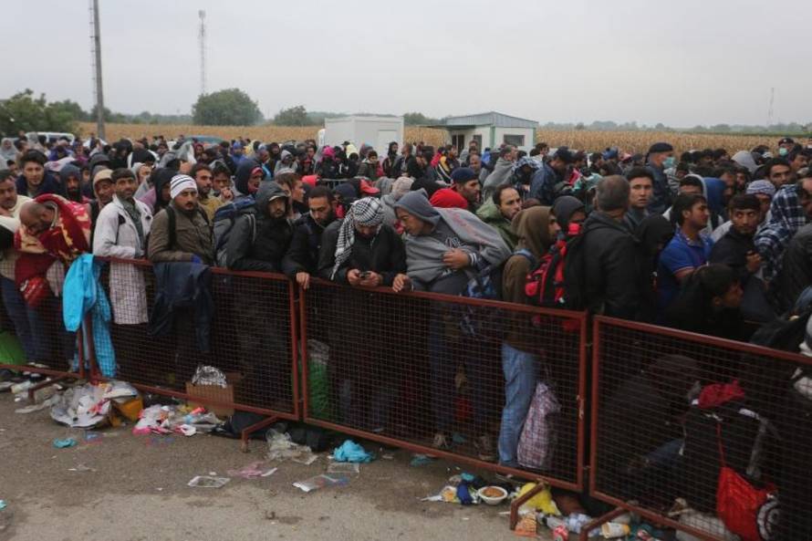 Marko Mrkonjić/PIXSELL