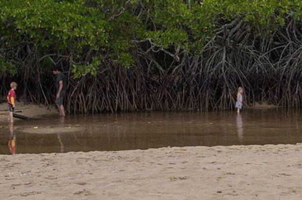 Neshvatljivo: Otac pustio djecu u  vodu koja je puna krokodila...