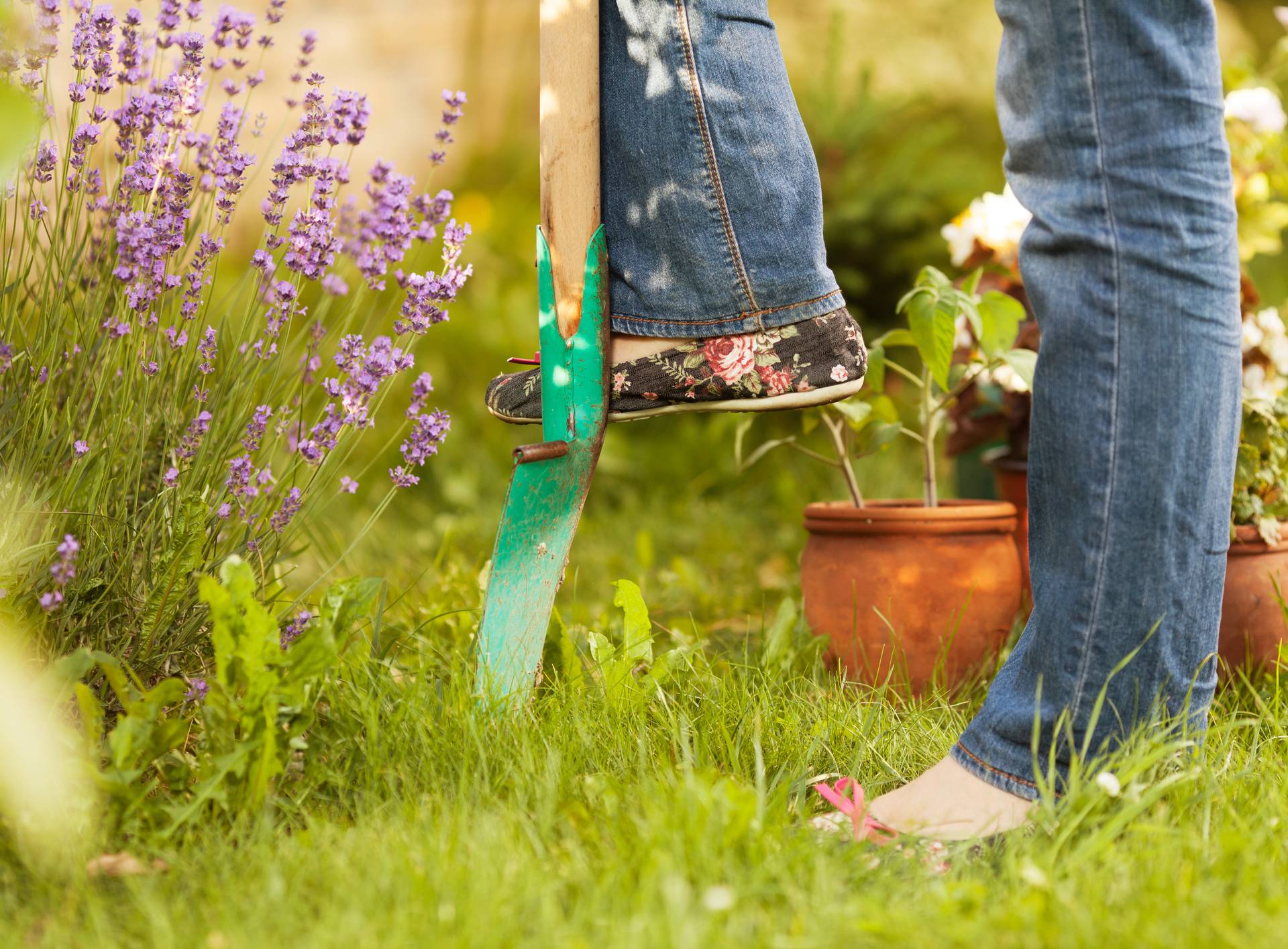 Working in the garden