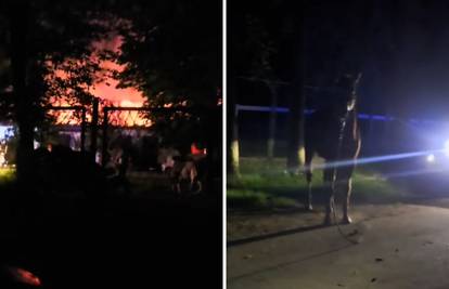Vatrogasci gasili veliki požar na sinjskom hipodromu: 'Panika je, mrak, konji bježe uokolo'