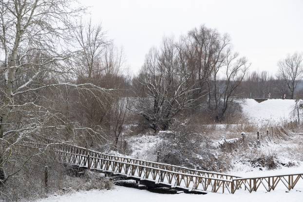 Kopački rit: Zimska idila u Baranji 