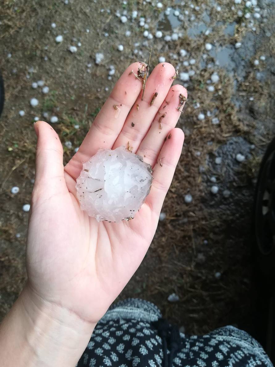 Vjetar srušio drvo, tuča oštetila aute: 'Mogla je nekoga ubiti!'