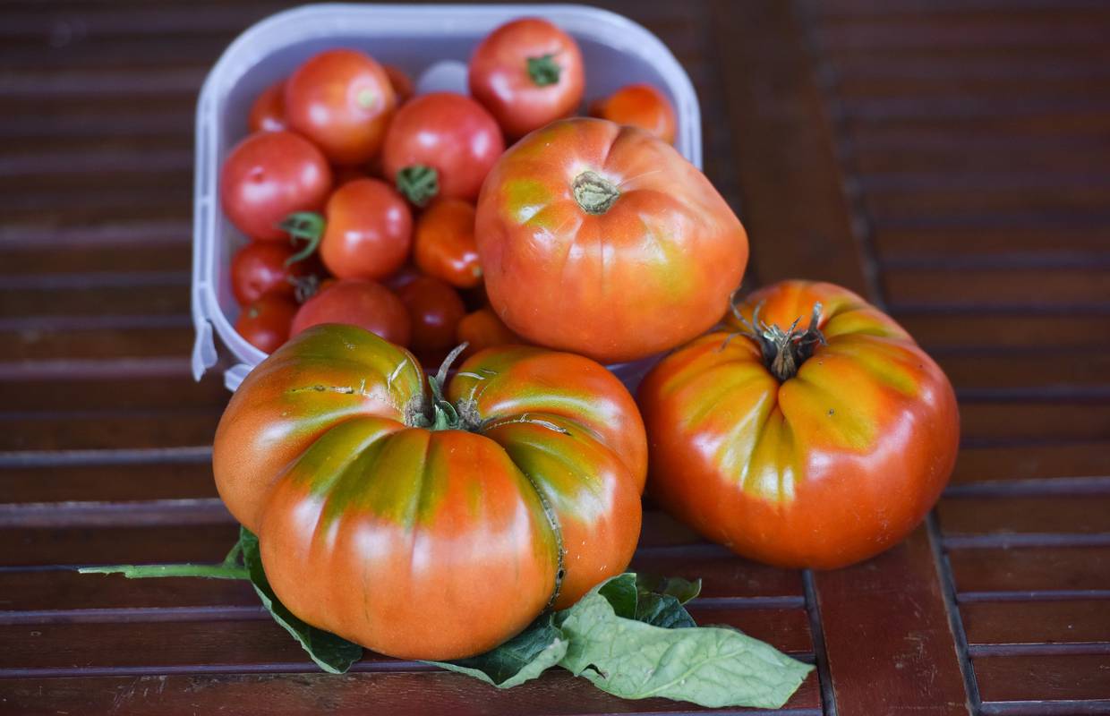 Otkrili zašto rajčice iz dućana nikad nemaju okus kao 'prave'