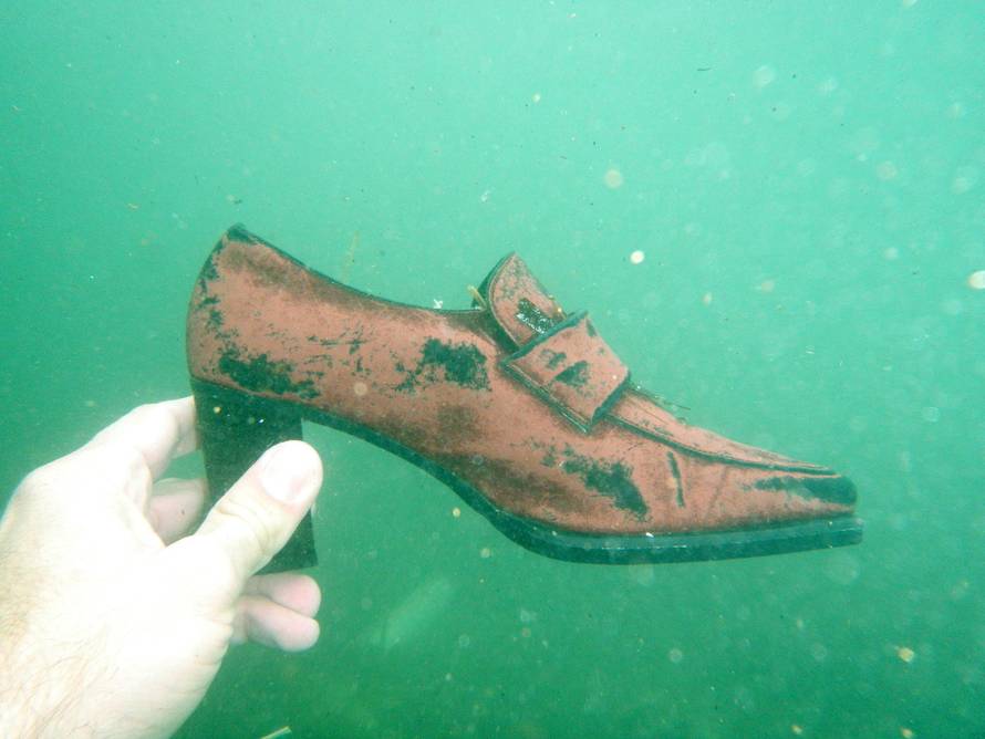 Ocean Alliance i Lupino onečiščenje mora pretvorili u umjetnost