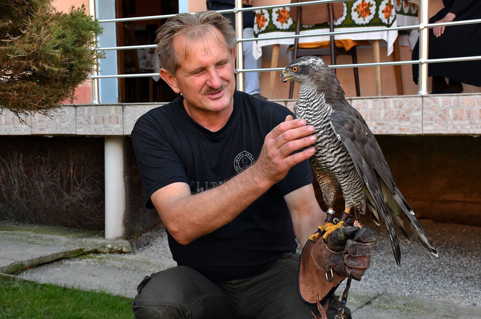 Sokolar Stjepan Alaber iz Zagrađa pokraj Pleternice