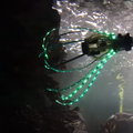 Robot u obliku meduze mogao bi spašavati koraljne grebene