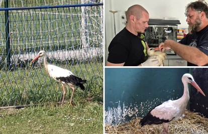 FOTO Bijela roda zapetljala se u mrežu gola u Zagrebu: 'Sanirali smo ranu, pratimo kud se kreće'