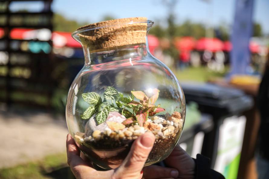 Zelene navike jednostavne su i pristupačne, podsjetili smo se na Ekotlonu i dobro se zabavili!