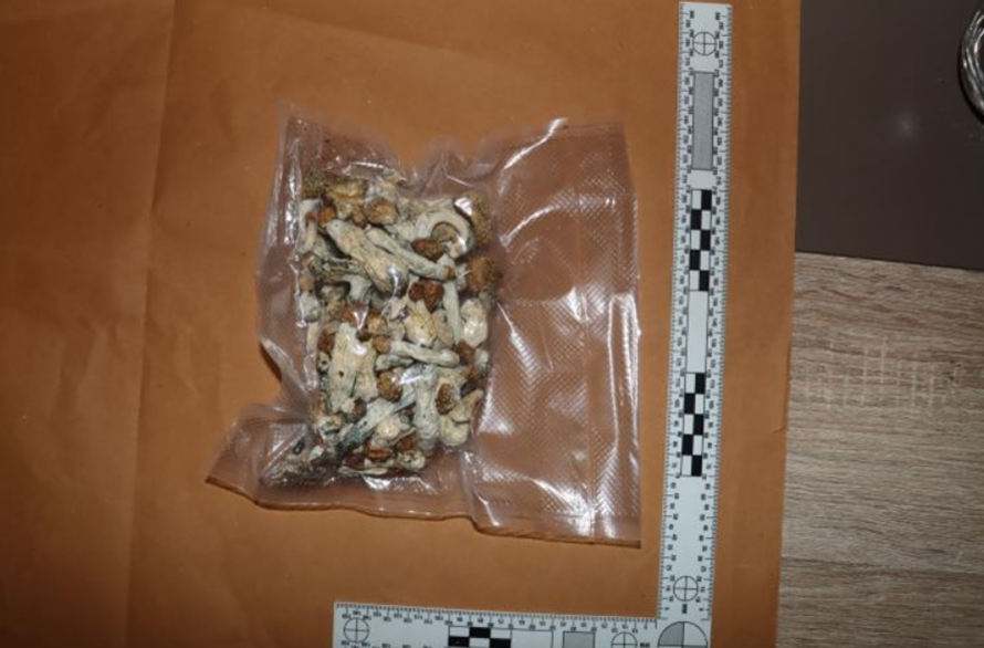 VIDEO Kakav ulov u Zagrebu: Dileru našli meskalin, gljive, LSD, u stanu je imao i kuburu