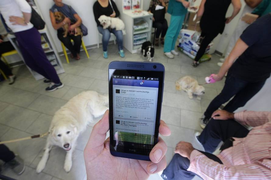 Željko Lukunić/PIXSELL