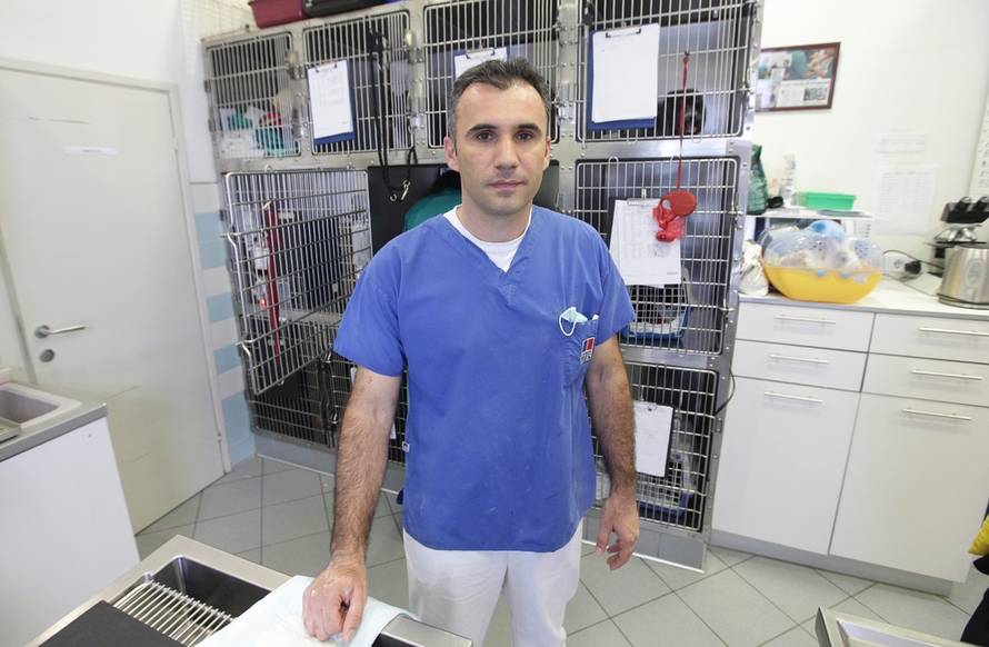 Željko Lukunić/PIXSELL