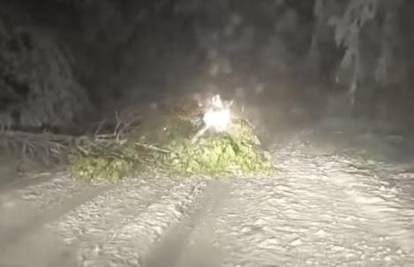 Snijeg zatrpao dijelove Srbije: Polarni vortex stiže i kod nas!