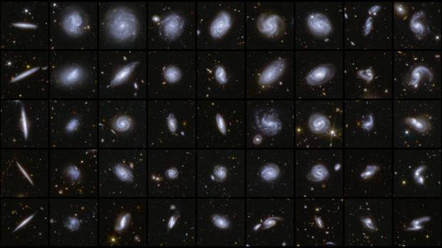 A combination image shows examples of galaxies in different shapes, all captured by the Euclid space telescope during its first observations of three Deep Field areas of the sky
