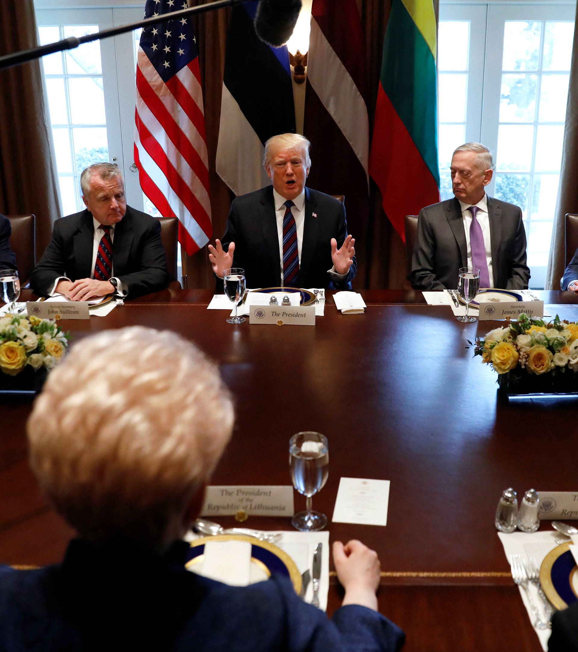 Trump hosts Baltic leaders at the White House in Washington