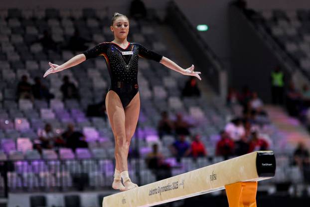 2025 World Artistic Gymnastics Championships