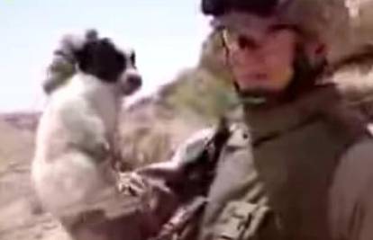 Irak: Marinac pod istragom jer je bacio štene s litice