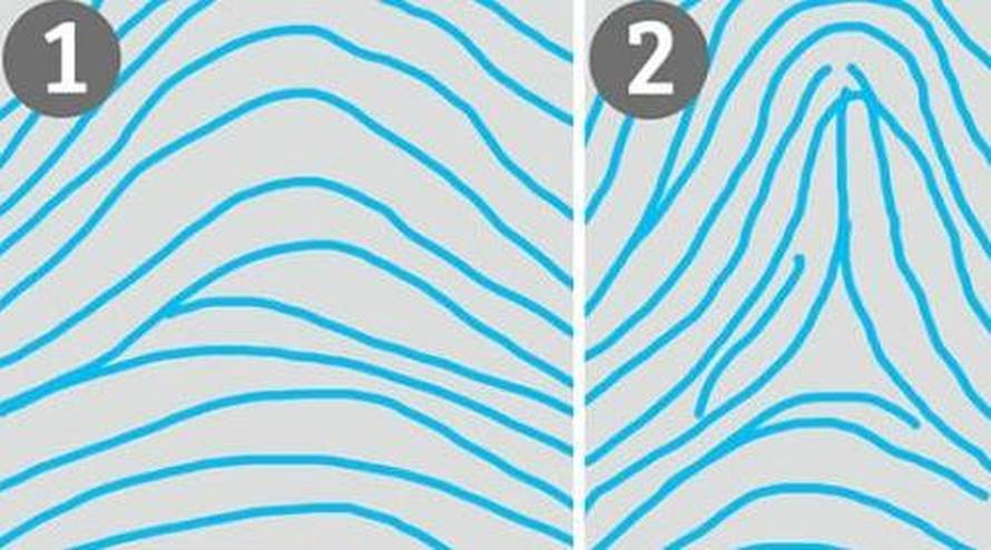 Kakav je vaš otisak prsta? Evo što to sve može otkriti o vama