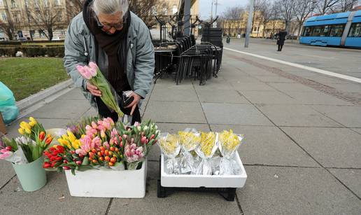 Mirisi proljeća: U Zagrebu na ulici prodaju tulipane i mimoze