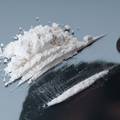 'Pao' diler u Osijeku: U stanu mu našli 359 grama kokaina, marihuanu, mobitele, novac...