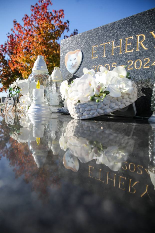Zagreb: Groblje kućnih ljubimaca u Dumovcu obišao je jedino jedan mačak