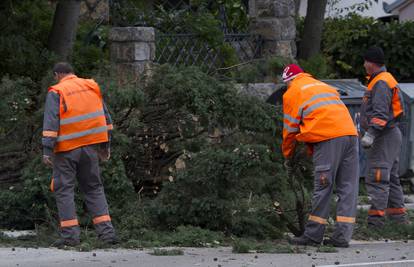 Udruga poslodavaca: 'Do 2030. godine svaki četvrti radnik u Hrvatskoj mogao bi biti stranac'