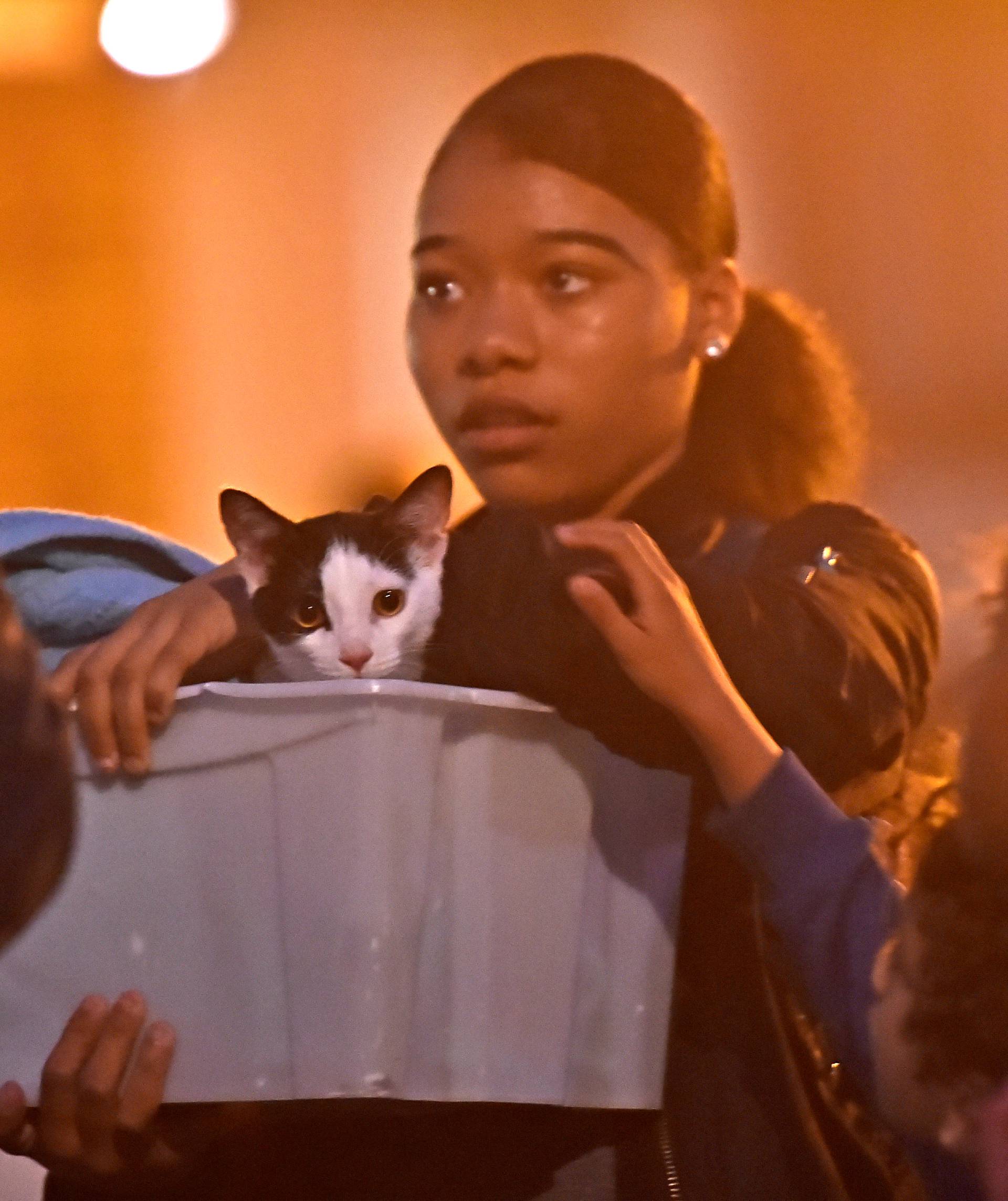 A resident and a cat are evacuated from the Taplow Tower residential block as a precautionary measure following concerns over the type of cladding used on the outside of the building on the Chalcots Estate in north London