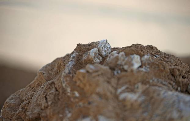 Georgian archaeologists unearth a presumably dated 1.8-million-year-old jawbone, in Kvemo Orozmani