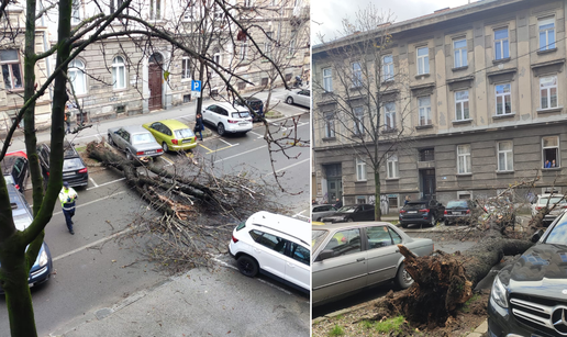 VIDEO Srušilo se stablo nasred ceste u centru Zagreba: 'Samo je palo samo od sebe, strašno'