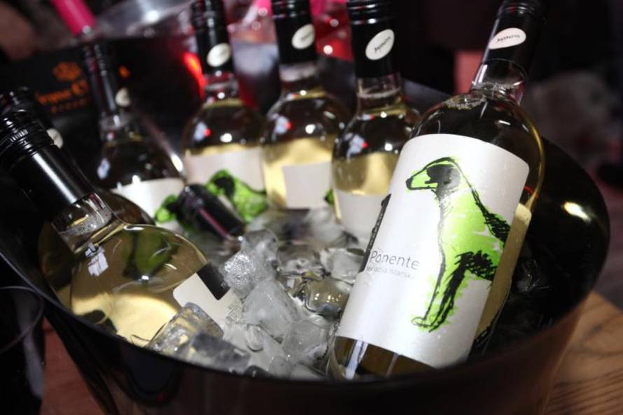 Grgur Žućko/Pixsell