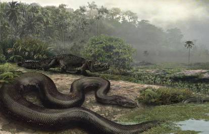 Nekadašnje zmije su bile ogromne i jele su krokodile