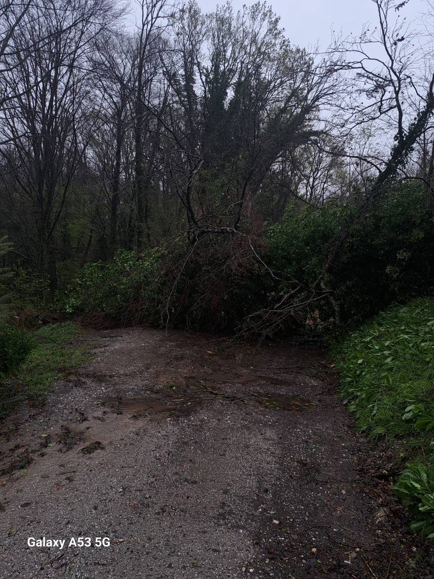 Palo im stablo na kuću: 'Bilo je kao u hororu! Dijete u naručju, puše vjetar, nema rasvjete...'