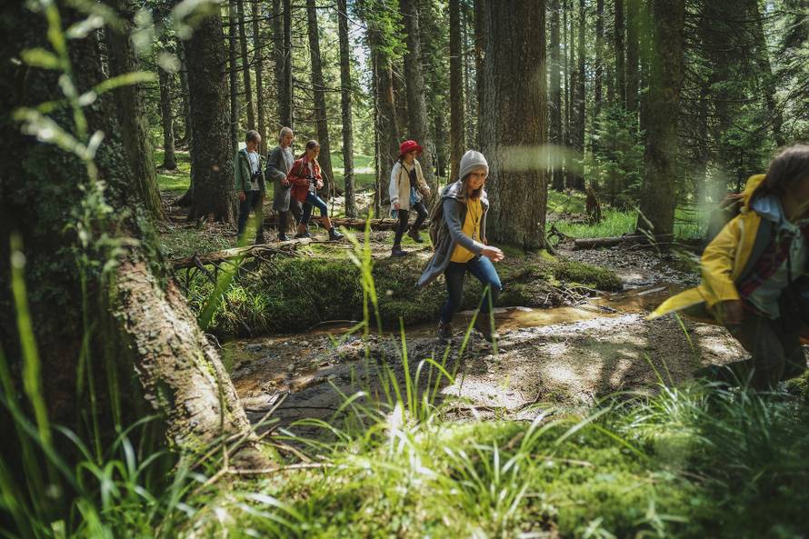 Nezaboravna jesen u Sloveniji: Otkrijte ljepotu Dežele u pokretu uz dašak glamura