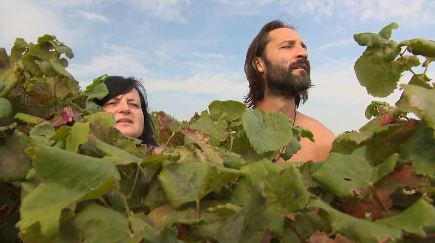 'Josipov pristup je agresivan, tjera ljude u depresiju i u inat'