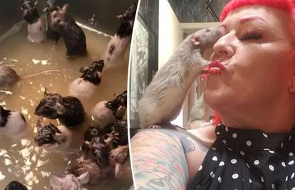 Živi s 50 štakora: 'To su moje bebice, ne rade baš ništa loše'